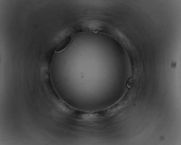 X0000102010465200807181232