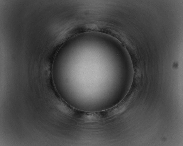 X0000102010466200807181232