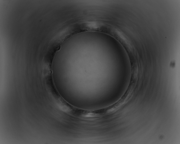 X0000102010467200807181232