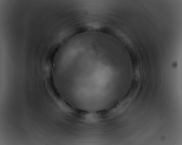 X0000102010468200807181232