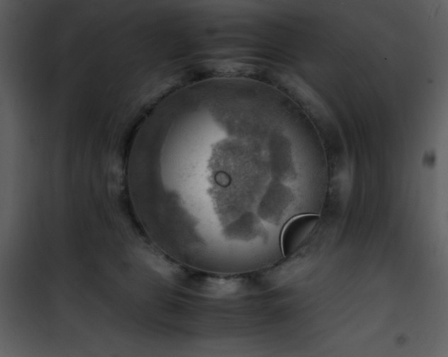 X0000102010469200807181232