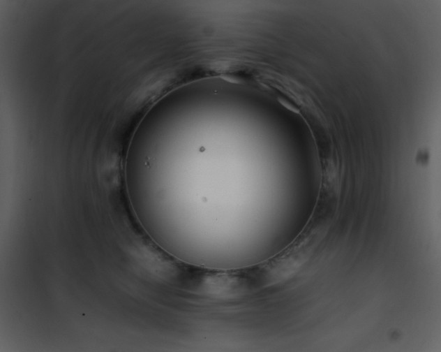 X0000102010470200807181232