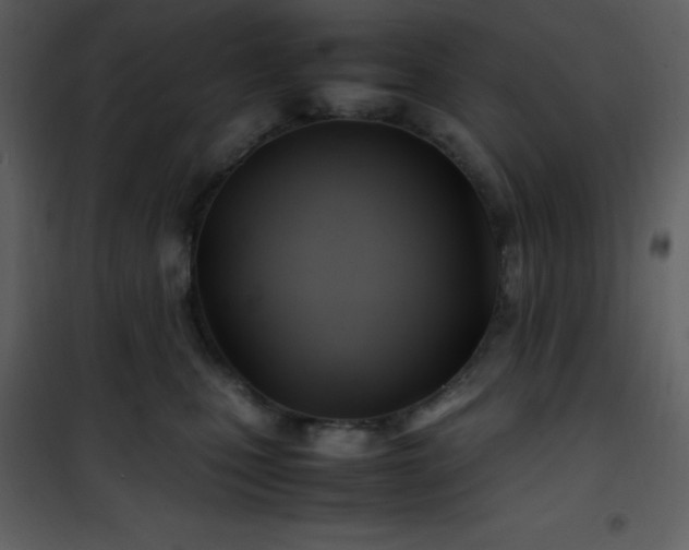 X0000102010471200807181232