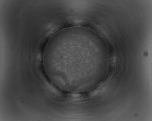 X0000102010472200807181232