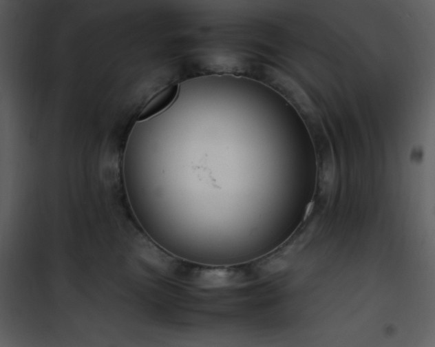 X0000102010473200807181232