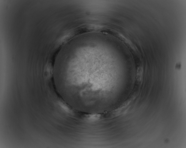 X0000102010474200807181232