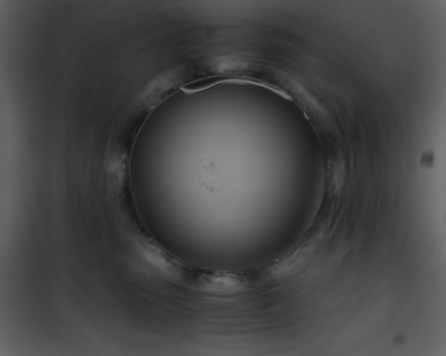 X0000102010475200807181232