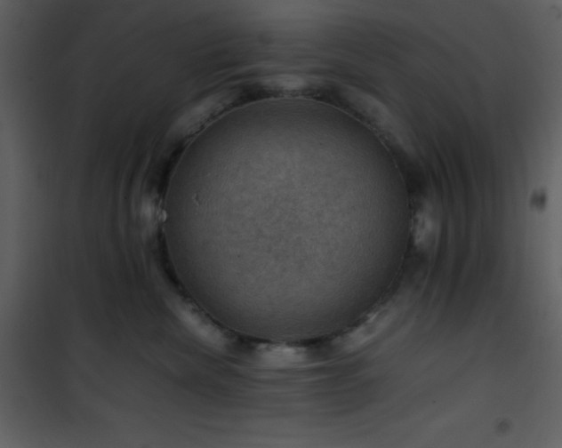 X0000102010476200807181232