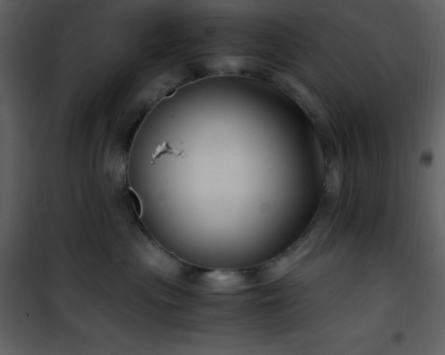 X0000102010477200807181232