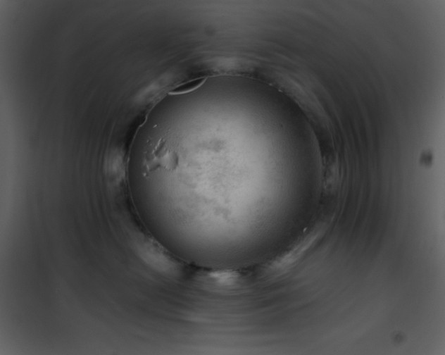 X0000102010478200807181232