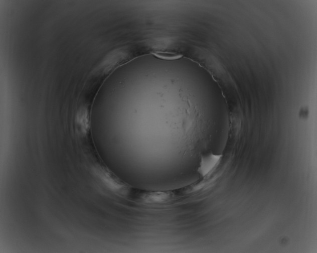 X0000102010479200807181232