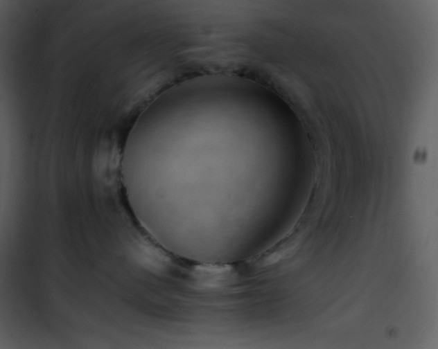 X0000102010480200807181232