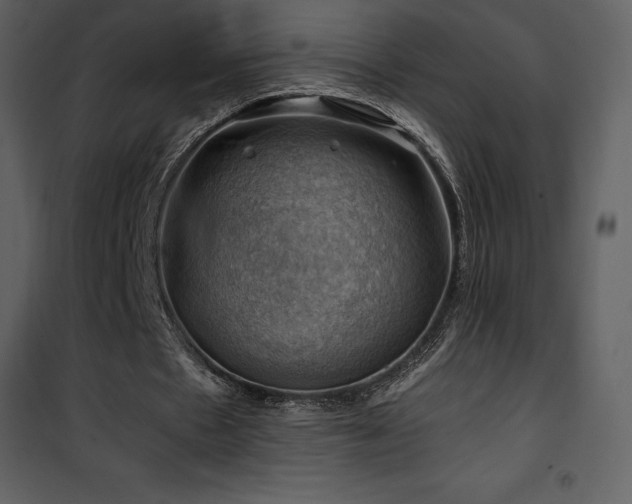 X0000102010481200807181232