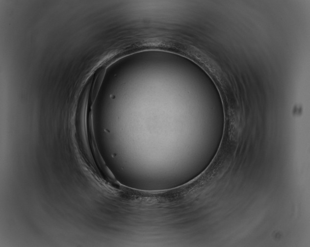X0000102010482200807181232