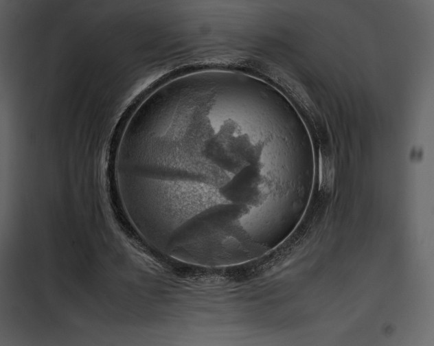 X0000102010483200807181231