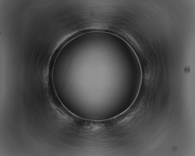 X0000102010484200807181231