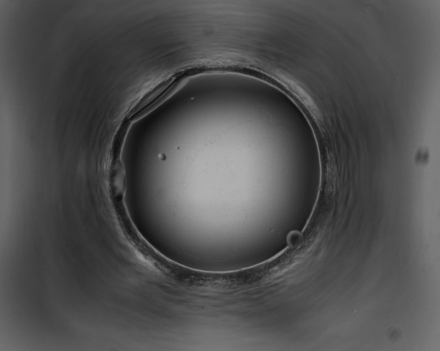 X0000102010485200807181231