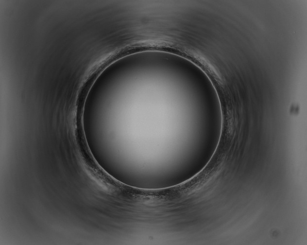 X0000102010486200807181231