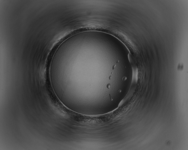 X0000102010488200807181231