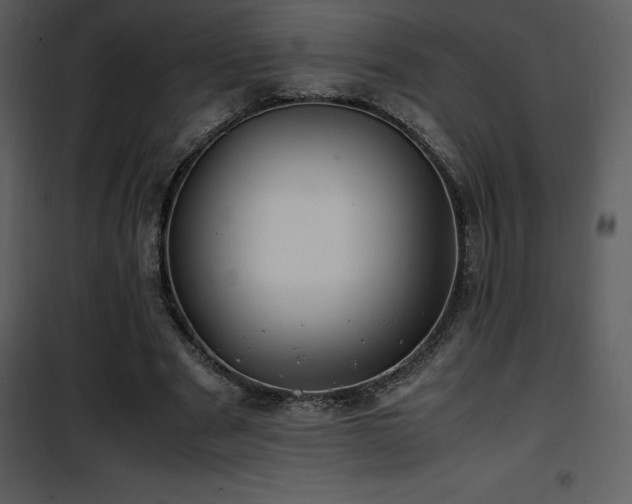 X0000102010489200807181231