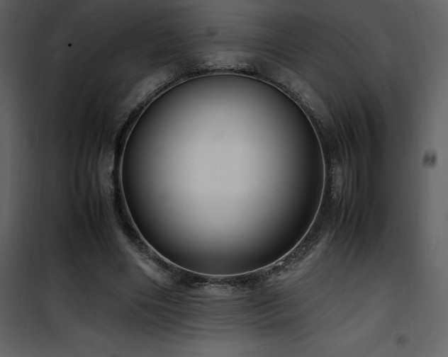 X0000102010490200807181231