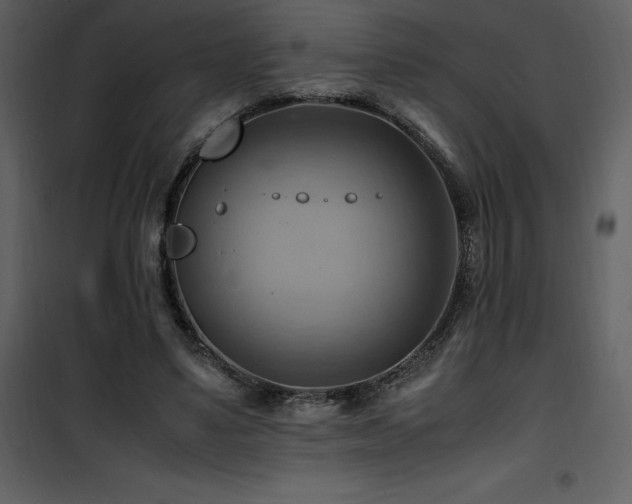 X0000102010491200807181231