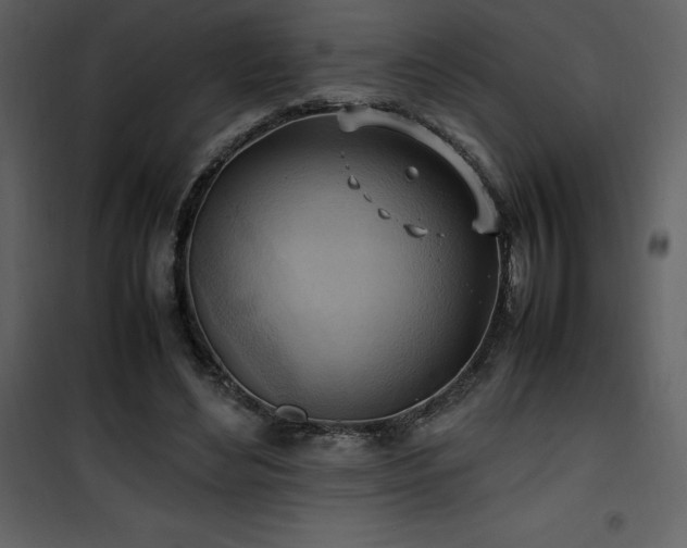 X0000102010492200807181231