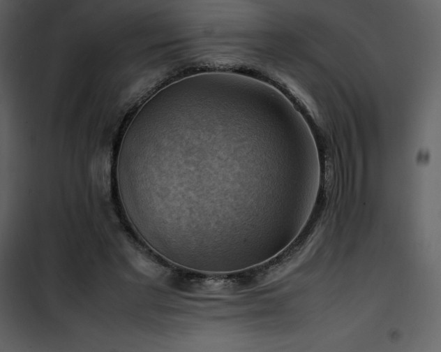 X0000102010493200807181231