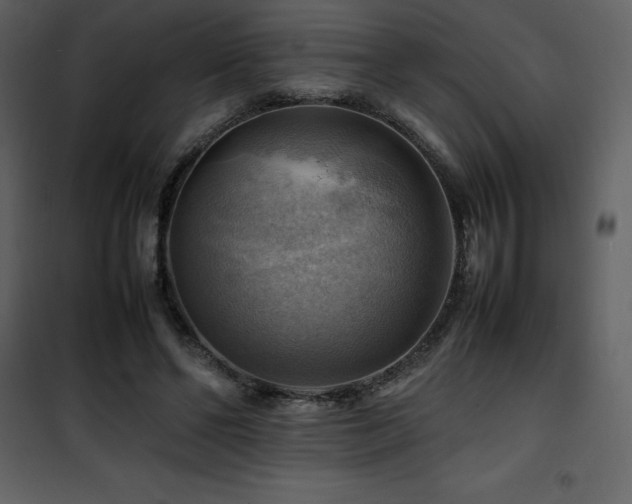 X0000102010494200807181231