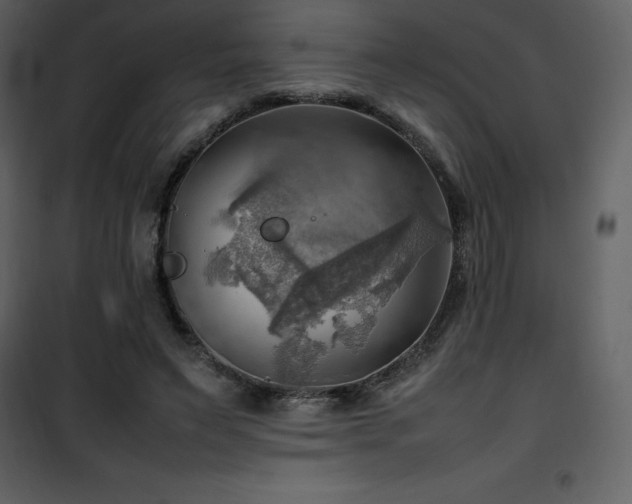 X0000102010495200807181231