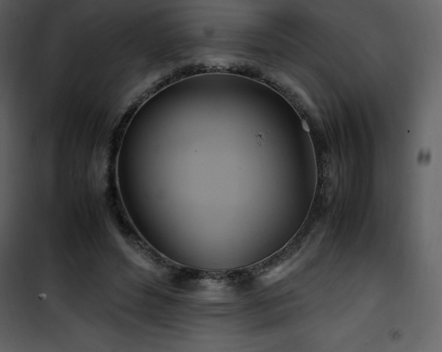 X0000102010496200807181231