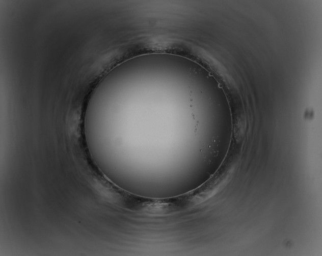 X0000102010497200807181231