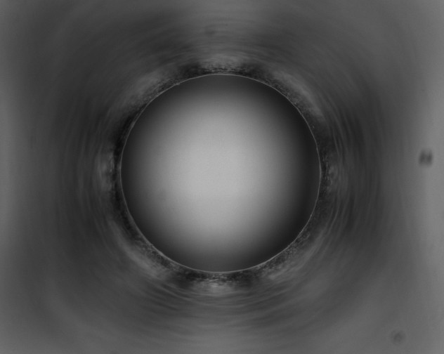 X0000102010498200807181231