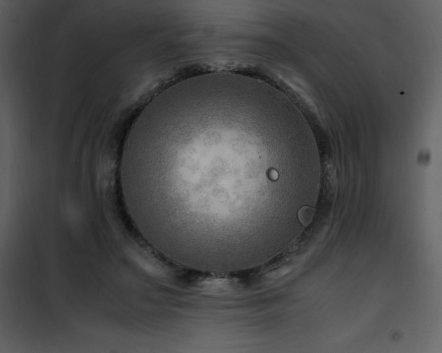 X0000102010499200807181231