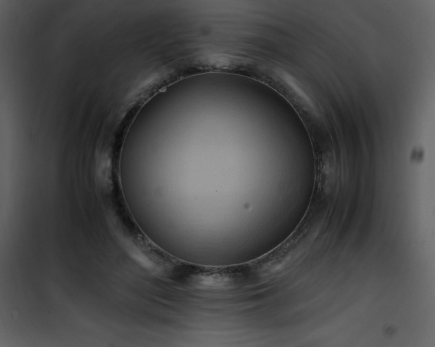 X0000102010500200807181231