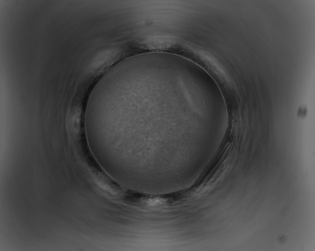 X0000102010501200807181231