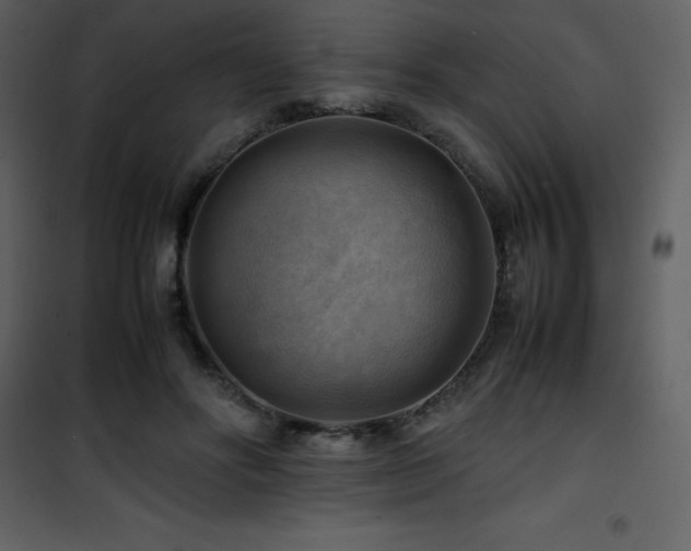 X0000102010502200807181231
