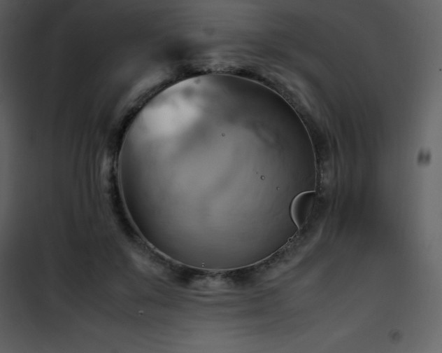 X0000102010503200807181231