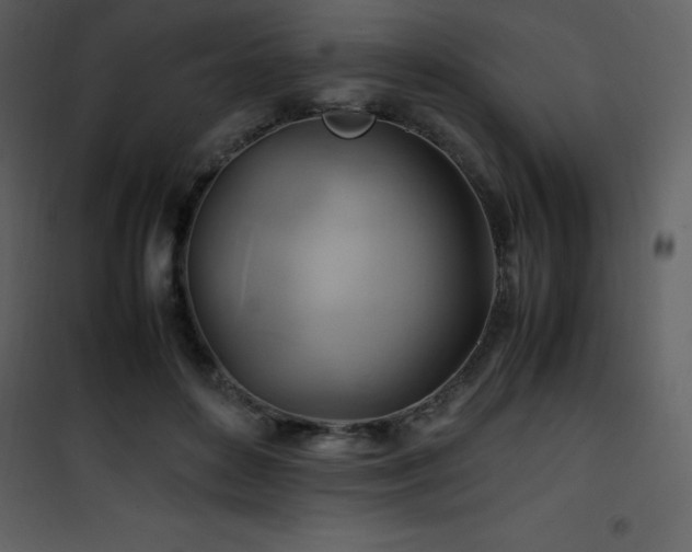 X0000102010504200807181231