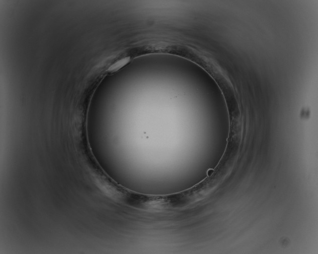 X0000102010505200807181231