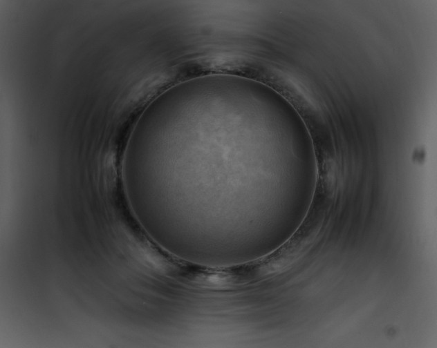 X0000102010506200807181231