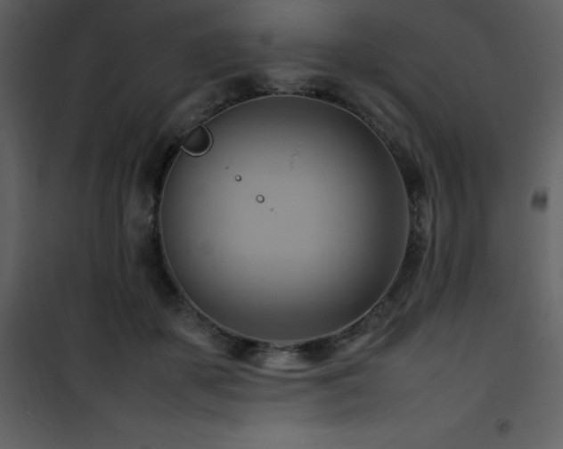 X0000102010507200807181231