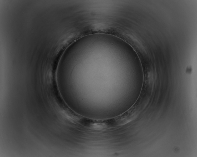 X0000102010508200807181231