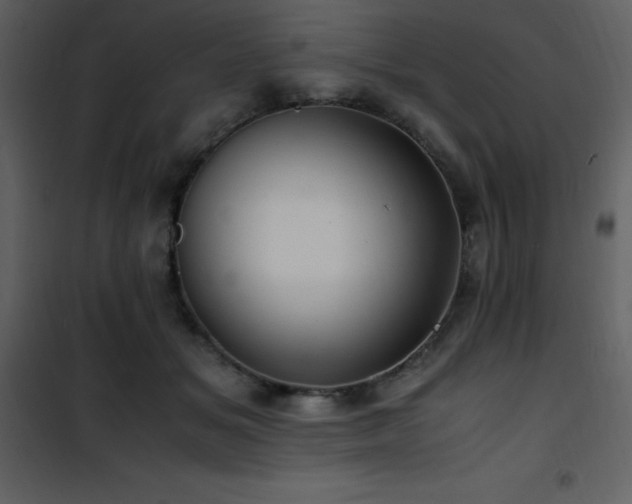 X0000102010509200807181231