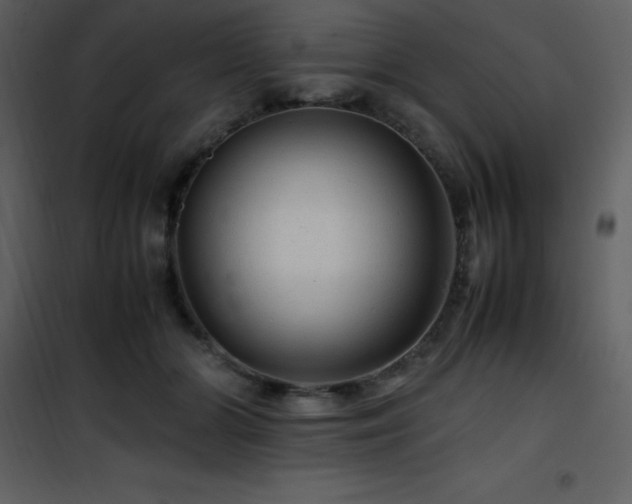 X0000102010510200807181231