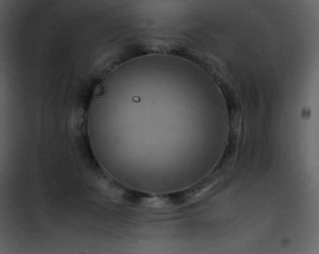 X0000102010511200807181231