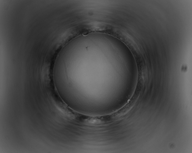 X0000102010512200807181231