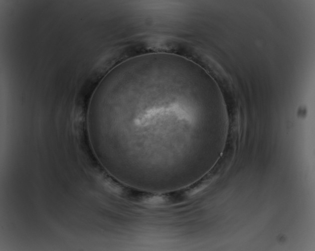 X0000102010513200807181231