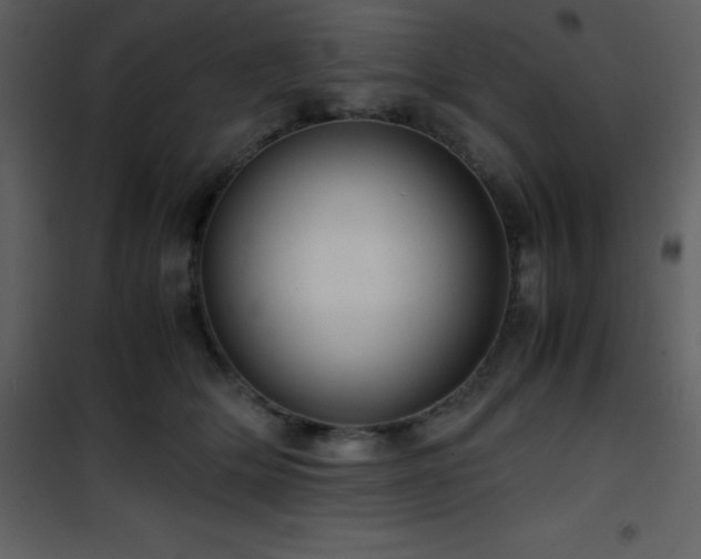 X0000102010514200807181231