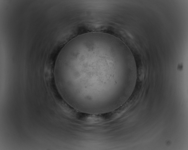 X0000102010515200807181231